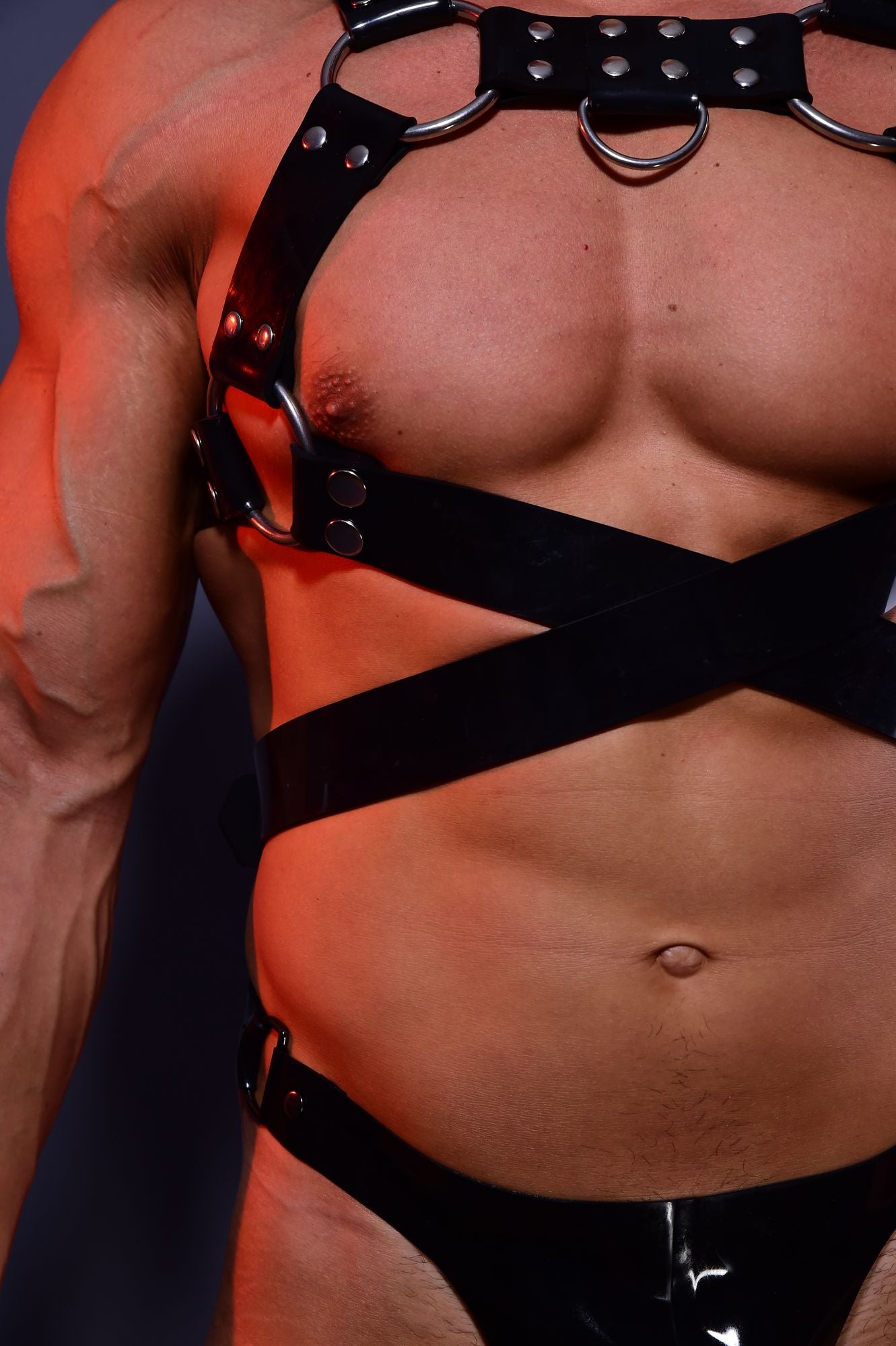 Heavy Harness HX