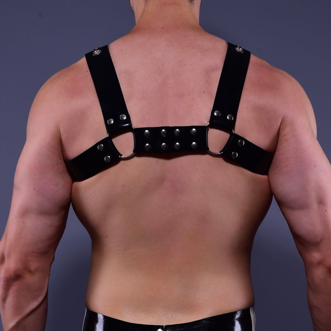 Heavy H Harness