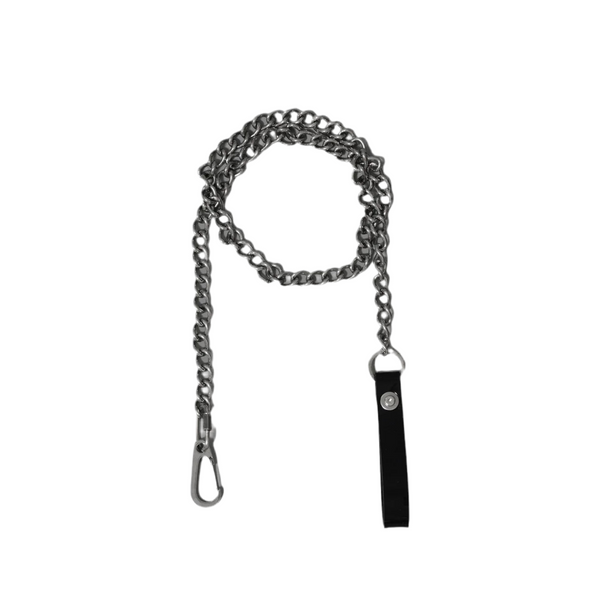 Stainless Steel Leash with Rubber handle