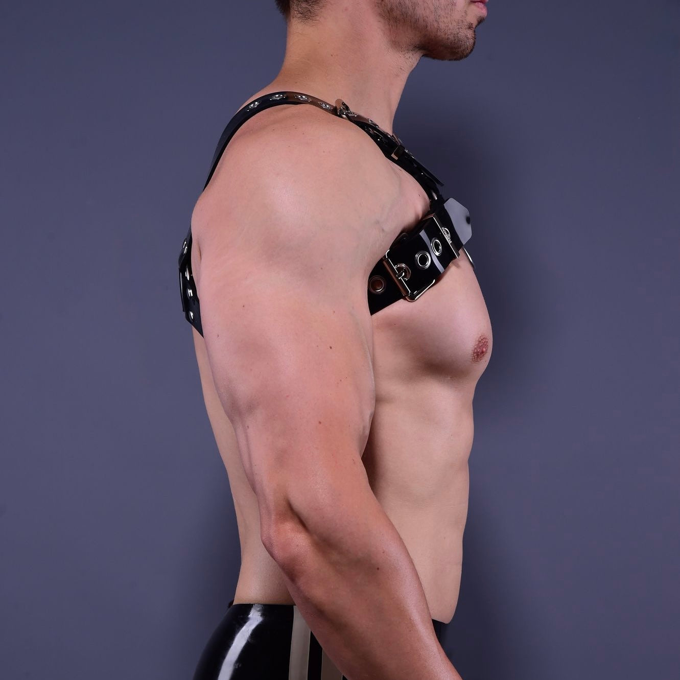 Heavy H Harness
