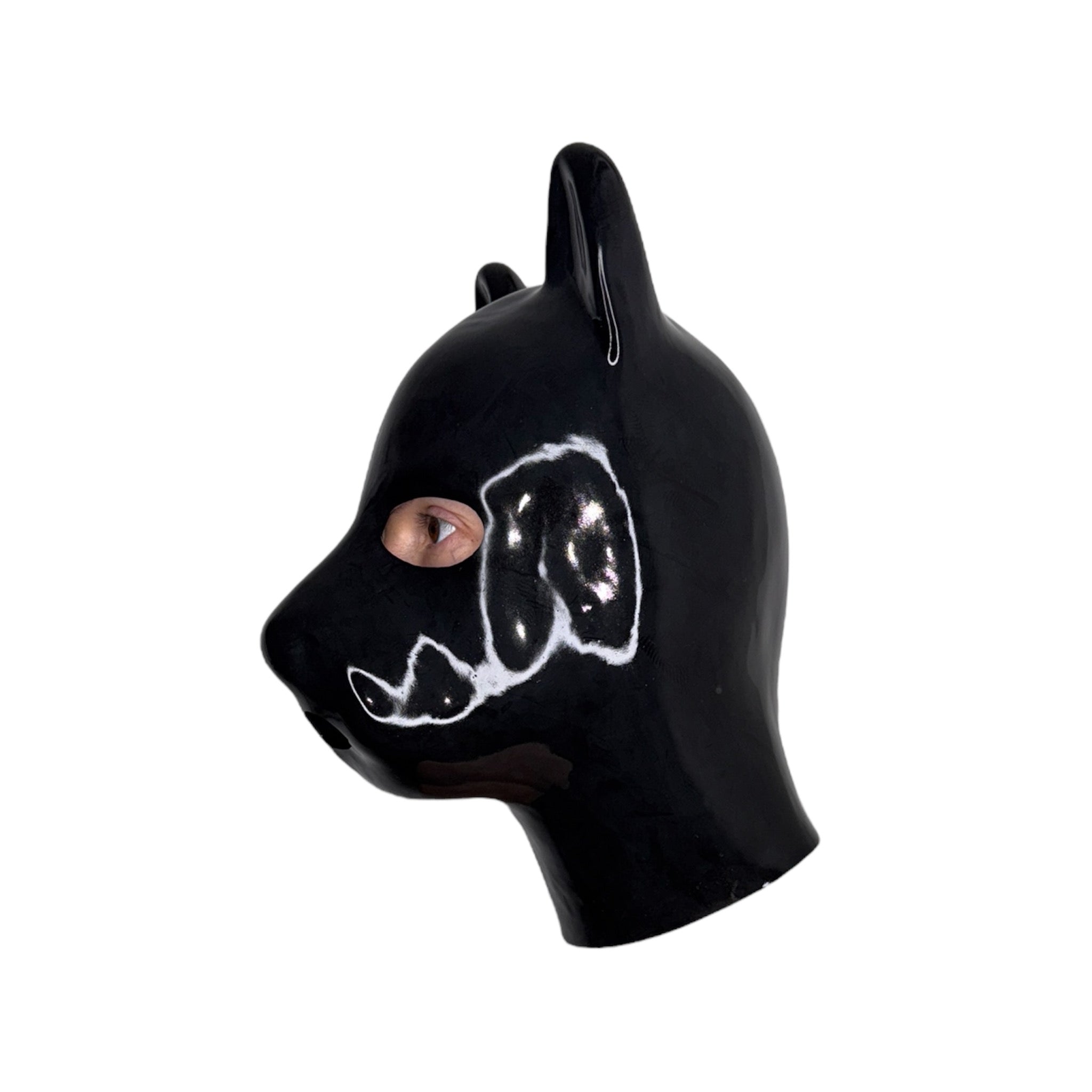 Latex Dog Hood