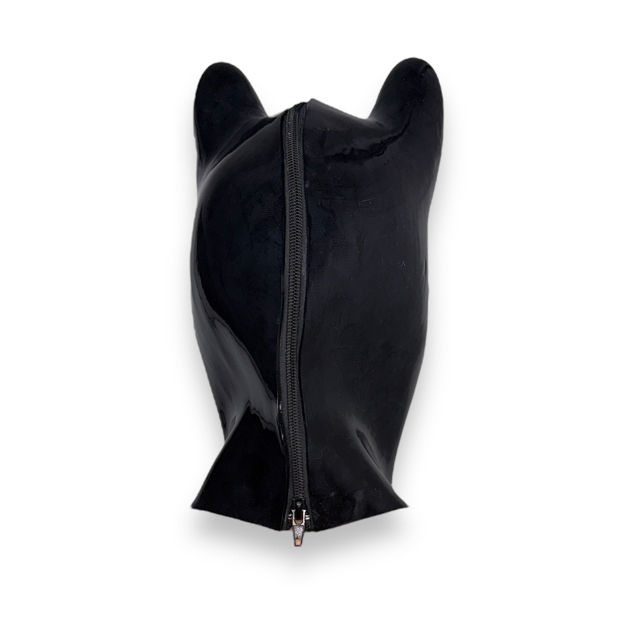 Latex Dog Hood