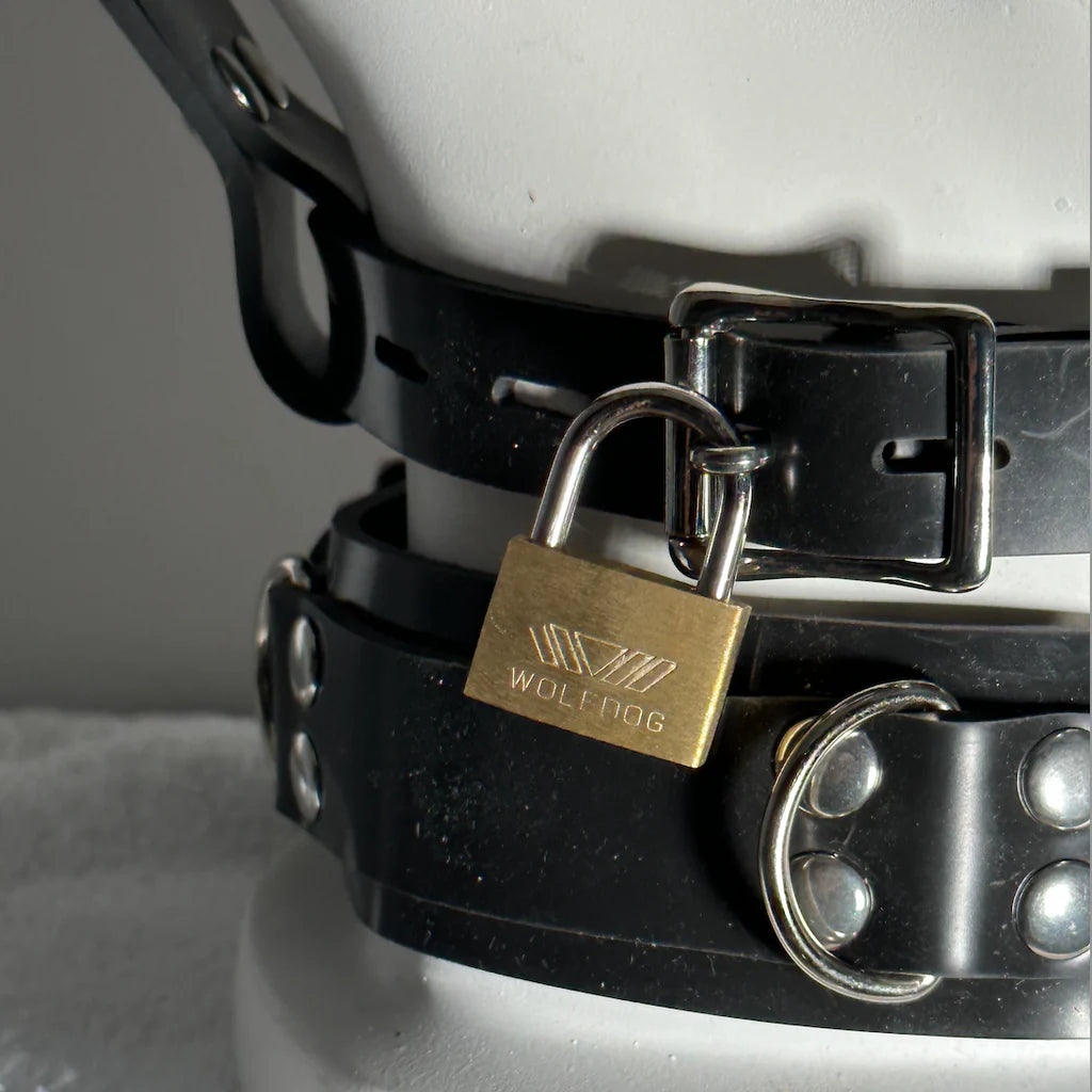 Rubber Muzzle Head Harness